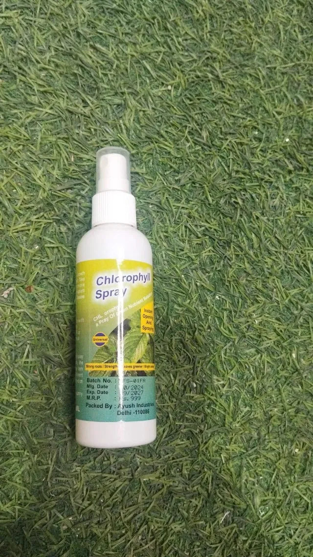 Chlorophll Spray 100ML 205