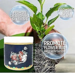 Special Bone Meal Organic Fertilizer, Promote The Growth Of Flowers And Fruits Pack of 2 205
