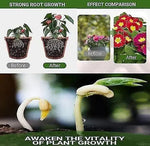 Special Bone Meal Organic Fertilizer, Promote The Growth Of Flowers And Fruits  Pack of 2 1238
