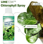 Chlorophll Spray 100ML 205