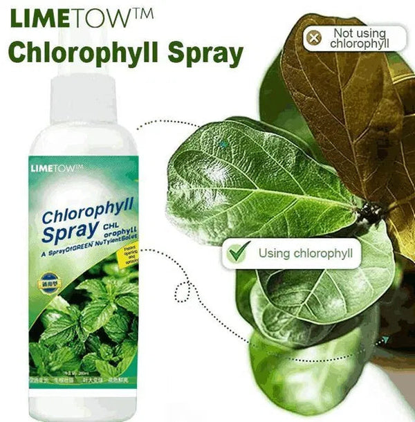 Chlorophll Spray 100ML 205