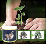 Special Bone Meal Organic Fertilizer, Promote The Growth Of Flowers And Fruits Pack of 2 205