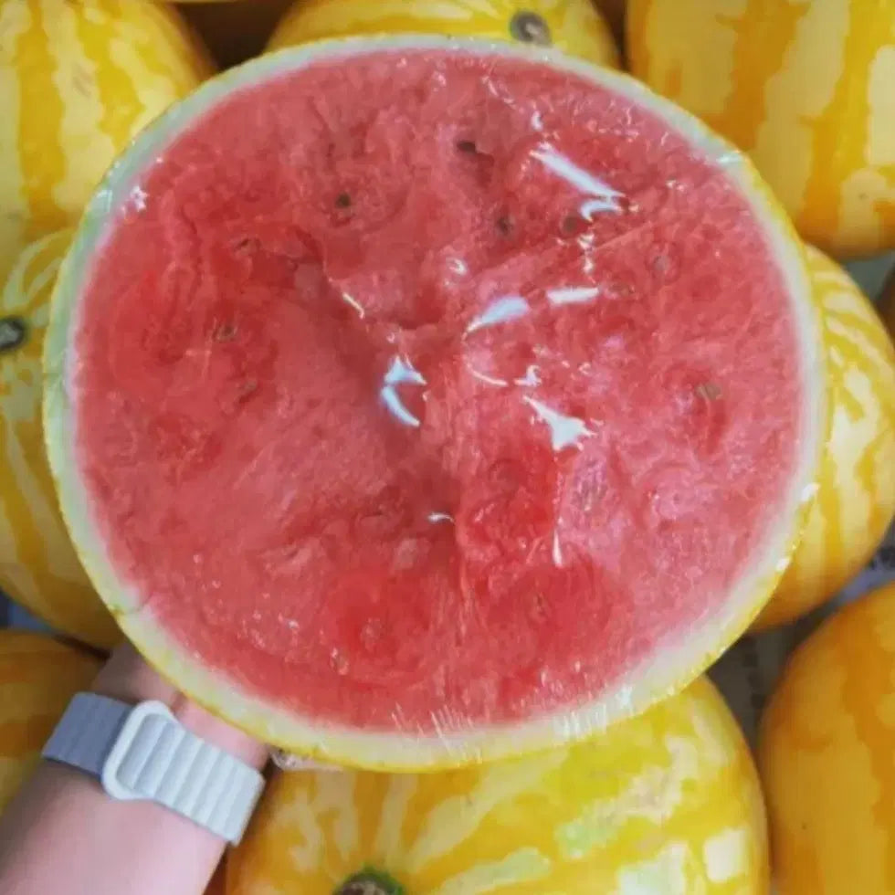 Golden Red Watermelon Seeds 1238